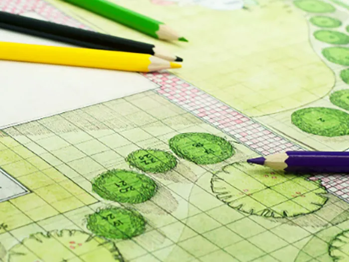 What to Expect During Your Free Design Consultation